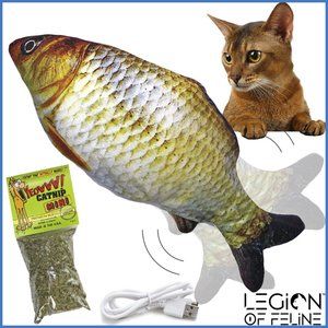🐟 Legion of Feline Floppy Fish Cat Toy - Carp 🐠